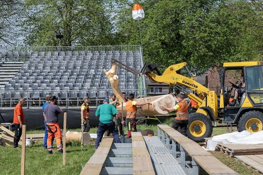 ERS_0780 Kopie